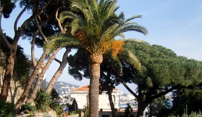 Cannes villa rental